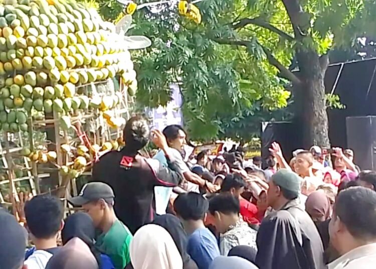 Serunya, Mangga 'Jumbo' Jadi Rebutan Warga di Satu Tahun BSIP Kementan