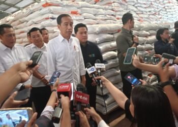 Presiden Jokowi Pastikan Ketersediaan Beras Nasional Aman
