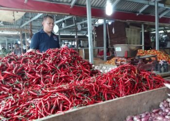 Naik Hingga 50 Persen, Harga Cabai di Kota Bogor Semakin Pedas