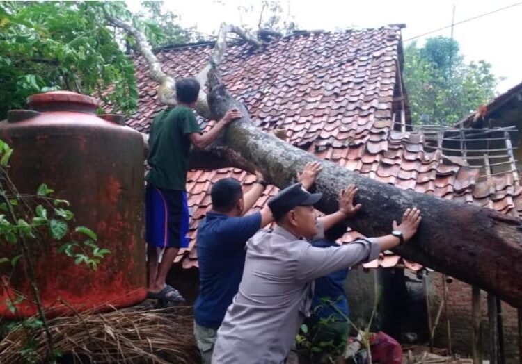 Rumah Warga di Nanggung Hancur Tertimpa Pohon Setinggi 20 Meter