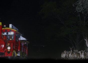 Nikmati Wahana Safari Malam Hanya Rp75 Ribu, Catat Tanggalnya!