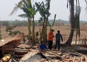 Musim Baru Beralih, Kabupaten Bogor Sudah Dikepung Bencana