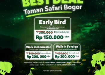 Ini Paket Promo Tiket Best Deal Tahun Baru 2024 di Taman Safari Bogor, Cek Tanggal Pemesanannya!