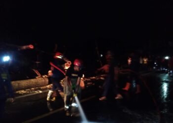 Tumbang, Pohon Besar Tutup Jalan Nasional di Cibungbulang