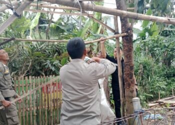 Jualan di Trotoar, PKL di Jalan Solis Tanah Sareal Ditertibkan