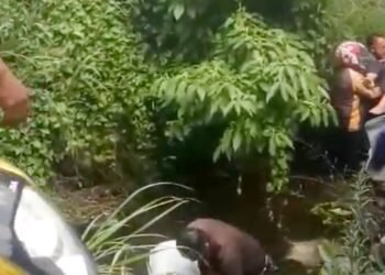Laka Tunggal di Jalan Alternatif BNR, Pemotor Wanita Nyemplung Ke Kali