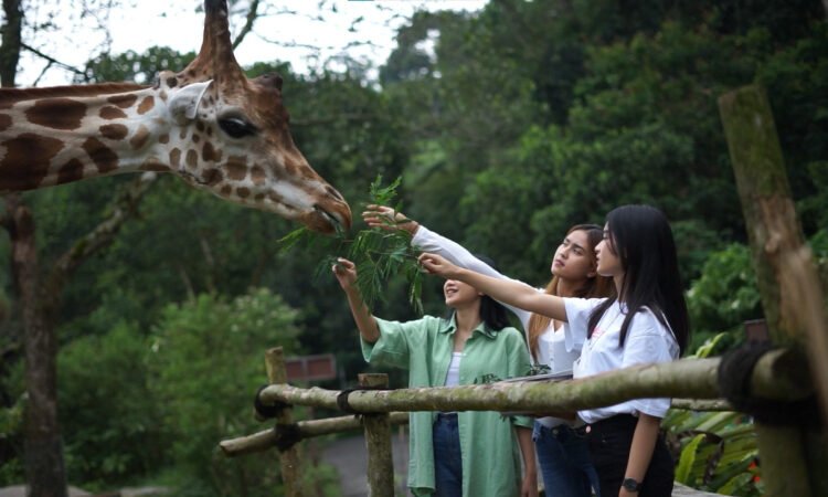 Buruan Serbu Promo Safari Bersama Pahlawan, Tiket Taman Safari Bogor Hanya Rp180 Ribu!