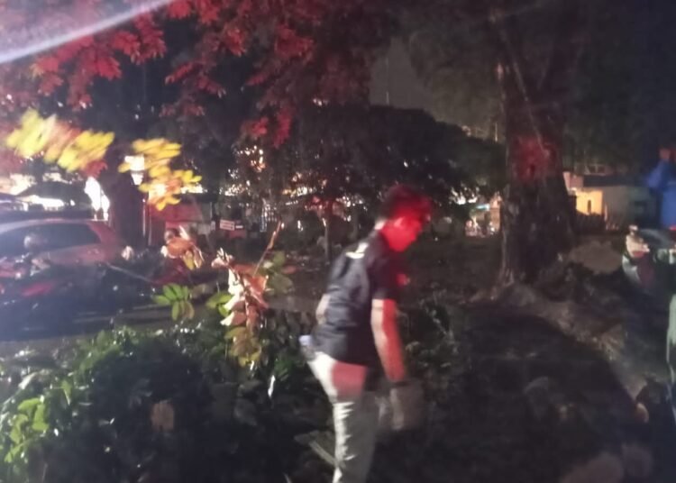 Pohon Bungur Tumbang Timpa 3 Mobil di Empang