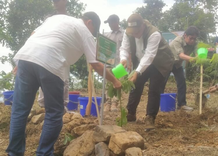 KLHK Tanam Ribuan Bibit Pohon di  Bantarkaret Kabupaten Bogor