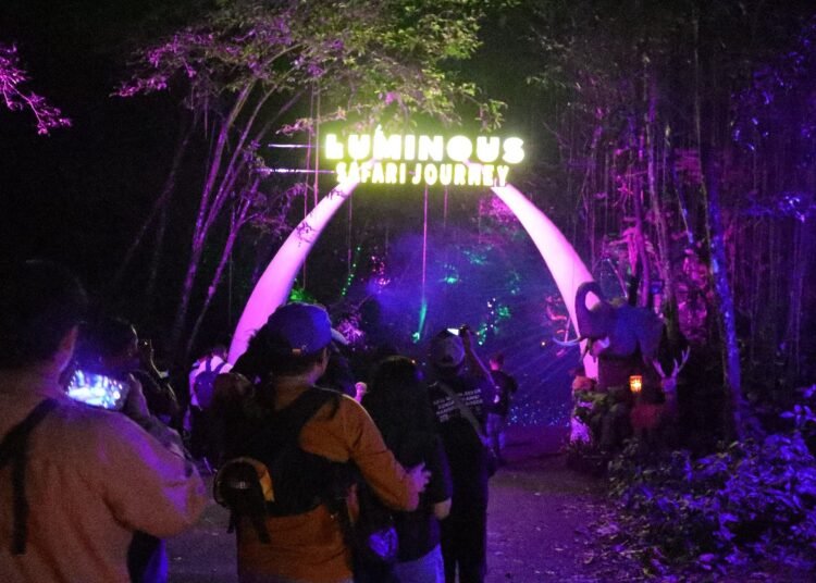 Parade Hutan Menyala ‘Luminous Journey’ di Taman Safari Bogor Diserbu Wisatawan