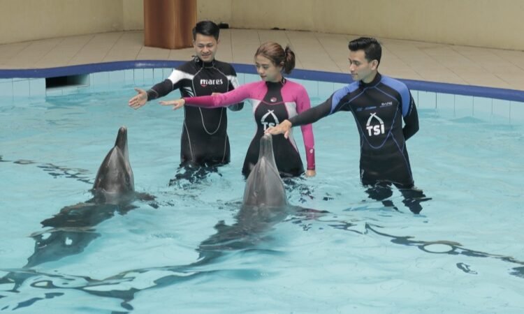 Gratis Masuk Taman Safari Bogor Khusus Guru TK, Ini Syaratnya!