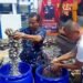 Ribuan Petasan Hasil Razia Dimusnahkan Polisi Jelang Tahun Baru di Kota Bogor