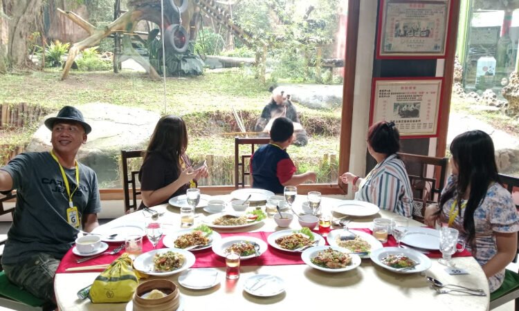 Menarik, Taman Safari Bogor Promo Lunch With Giant Panda Hanya Rp208 Ribu