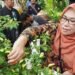 Kendalikan Inflasi dengan Tanam Cabai di Lahan Pertanian Perkotaan