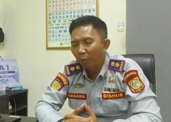 Kecelakaan Beruntun di Puncak, Dishub Ungkap Fakta Pengemudi Truk Diduga Main Ponsel