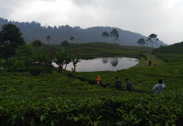 Foto Utama kawasan Puncak Bogor