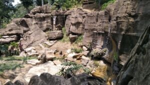 Wisata Ekstrim Bogor