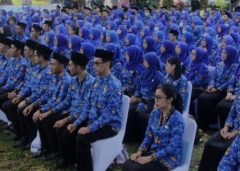 Ilustrasi CPNS dan PPPK