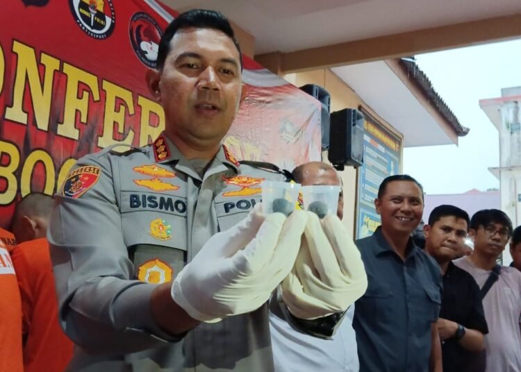 Polisi Ungkap Kasus Cokelat Ganja di Bogor, 4 Tersangka Diciduk