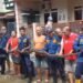 Sembunyi di Gorong-gorong, Ular Sanca Pemangsa Kucing Dievakuasi Petugas Damkar