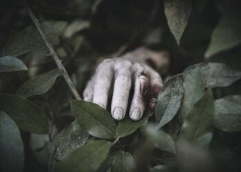 Setelah Leuwisadeng, Petugas KPPS Meninggal Dunia Kini Terjadi di Sukaraja