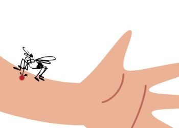 Waspada! Kasus DBD di Kota Bogor Melonjak 