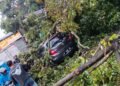 Pohon Tumbang di Ciawi Timpa Mobil