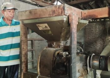 Gabah Langka, Pabrik Penggilingan Padi di Cileungsi Berhenti Beroperasi