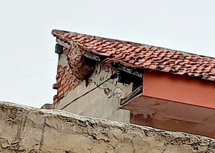  Tawon Serang Korban Tewas saat Angkat Genting Rumah di Kota Bogor 