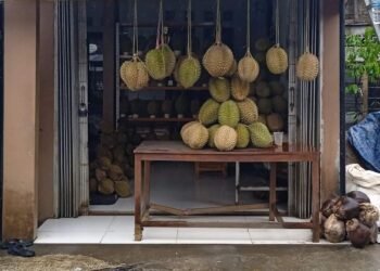 rekomendasi tempat makan duiran