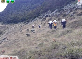 Gunung Gede Pangrango