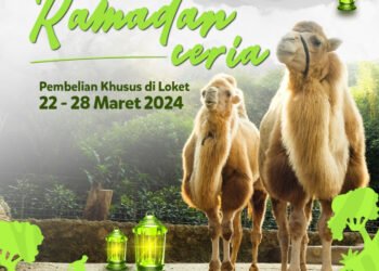 Promo Ramadan Ceria: Masuk Taman Safari Bogor Hanya Rp250 Ribu, Gratis Kulineran dan Buka Bersama!