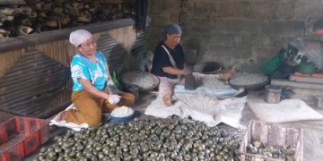 petani kolang kaling