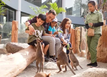 Rekomendasi 5 Hotel Ramah Anak di Bogor, Ada Fasilitas Mini Zoo