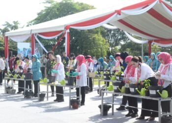 Jadi Tuan Rumah, Gerakan Tanam Cabai Nasional di Kabupaten Bogor Dihadiri Ibu Negara