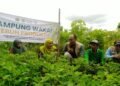 Rumah Wakaf Kekalkan Kebaikan Ramadan Lewat Pengelolaan Lahan Produktif Masyarakat