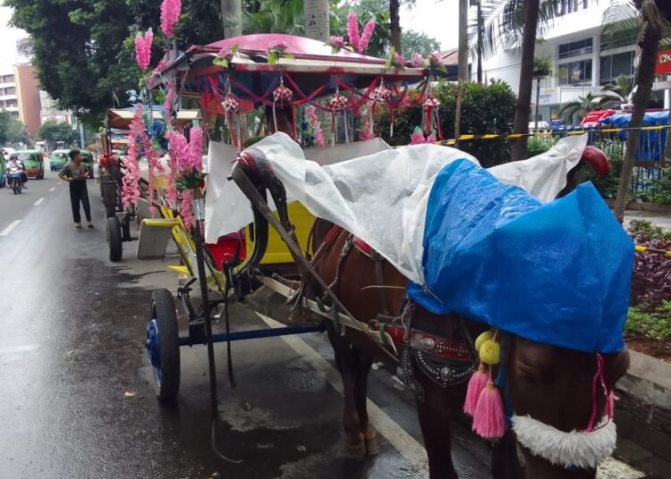 Wisata Delman Menyusuri Keindahan Istana Bogor dan Kebun Raya