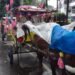 Wisata Delman Menyusuri Keindahan Istana Bogor dan Kebun Raya