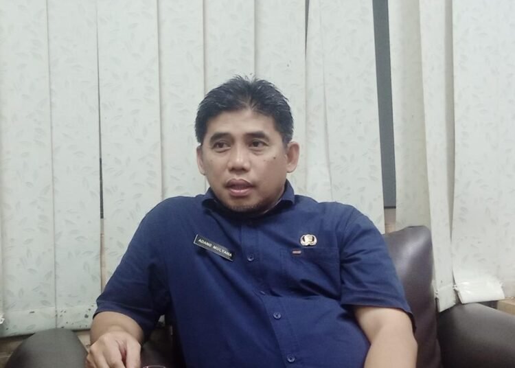 563 Warga Kabupaten Bogor Terserang DBD, 6 Meninggal Dunia 