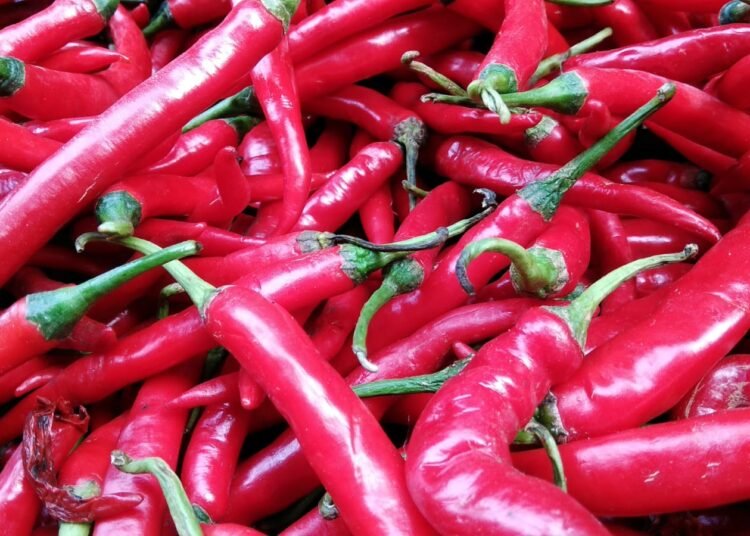 Harga Cabai-Bawang di Pasar Induk Kemang Turun Jelang Ramadan