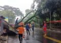 Sepanjang 2024, BPBD Catat 274 Bencana Terjadi di Kabupaten Bogor