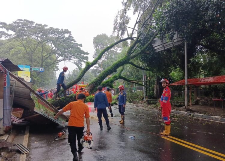 Sepanjang 2024, BPBD Catat 274 Bencana Terjadi di Kabupaten Bogor 