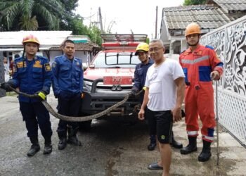 Ular Sanca Besar dalam Toilet Kejutkan Warga Cibinong, Damkar Sigap Evakuasi 