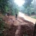 Hari Ketiga Pencarian, Korban Tertimbun Longsor di Sentul Belum Ditemukan