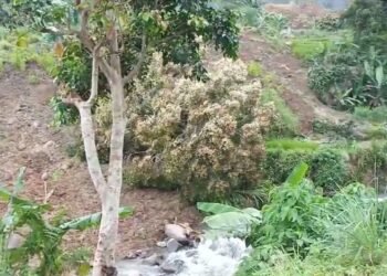 Diduga Karena Aktivitas Galian, Pergeseran Tanah di Sukamakmur Ancam Warga