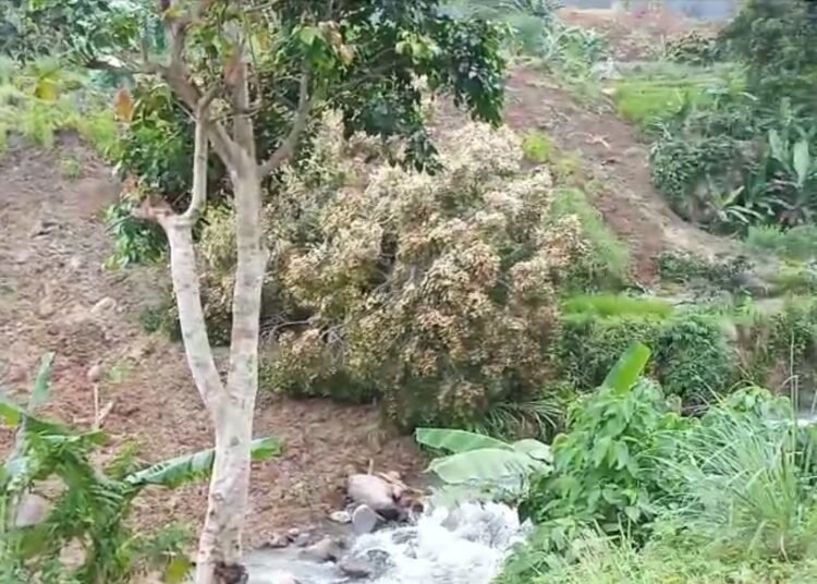 Diduga Karena Aktivitas Galian, Pergeseran Tanah di Sukamakmur Ancam Warga