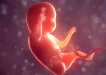 Oknum Kepala SMP Negeri di Sukamakmur Terancam Dipecat Buntut Dugaan Pemaksaan Aborsi