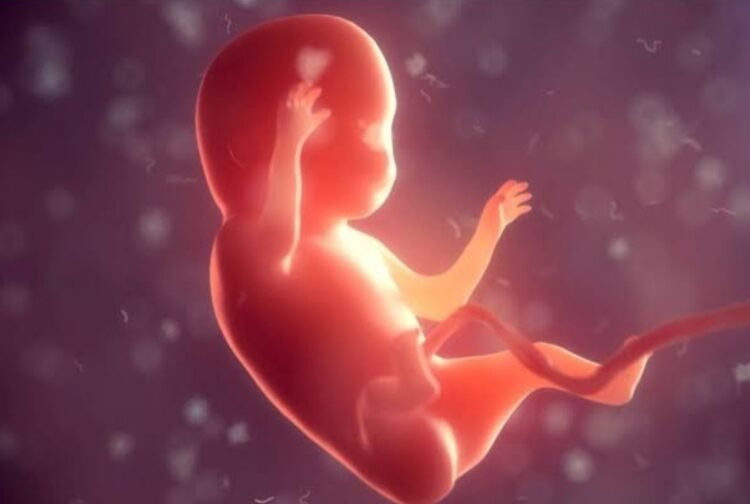 Oknum Kepala SMP Negeri di Sukamakmur Terancam Dipecat Buntut Dugaan Pemaksaan Aborsi