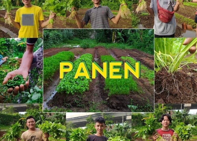 Menangkal Krisis Pangan Cabai, Leuit Jajaka Ajak Warga Kota Bogor Tanam di Rumah