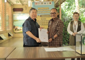 Disita Badan Karantina Indonesia, Kadal Eksotis Berharga Miliaran Dititipkan ke Taman Safari Bogor